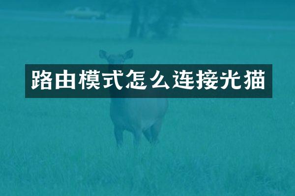 路由模式怎么连接光猫