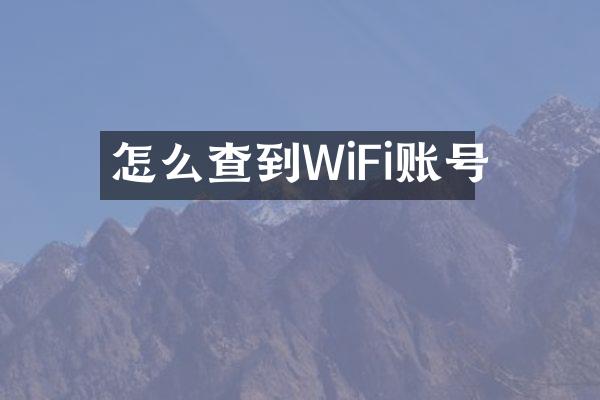 怎么查到WiFi账号