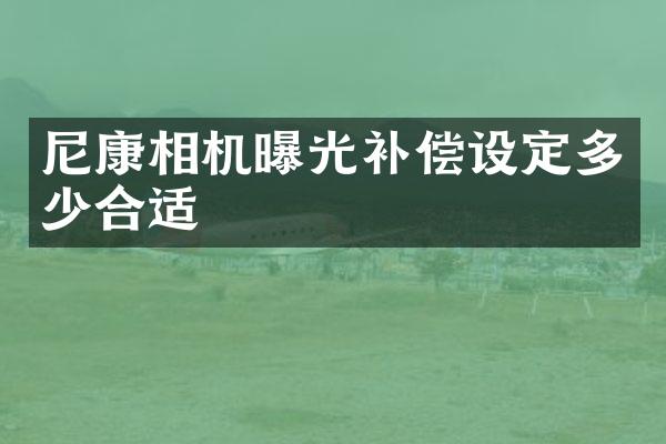 尼康相机曝光补偿设定多少合适