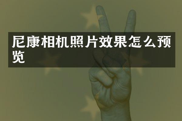 尼康相机照片效果怎么预览