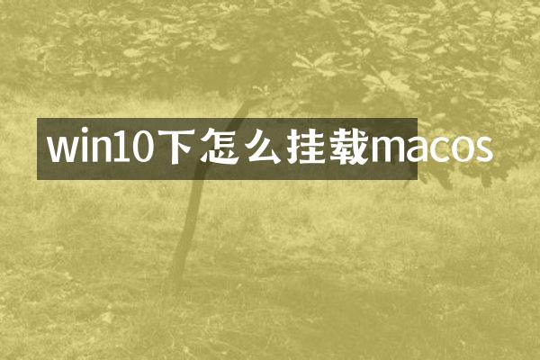 win10下怎么挂载macos