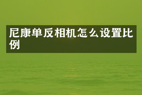 尼康单反相机怎么设置比例