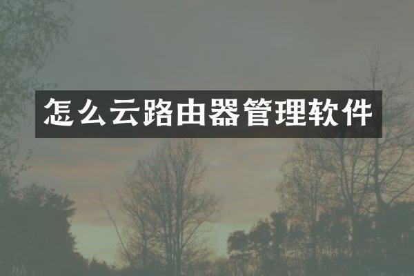 怎么云路由器管理软件