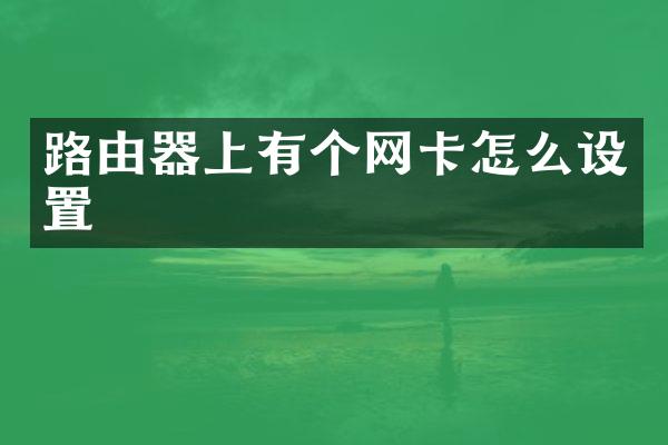 路由器上有个网卡怎么设置