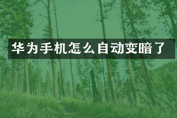 华为手机怎么自动变暗了