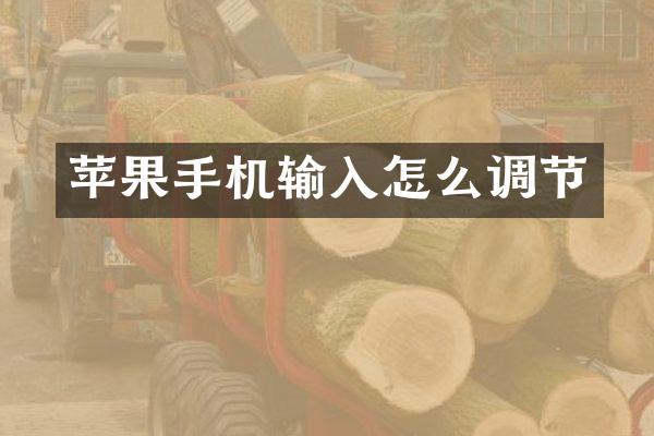 苹果手机输入怎么调节