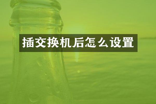 插交换机后怎么设置