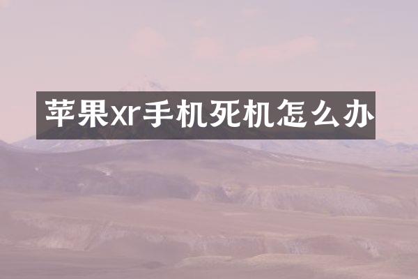 苹果xr手机死机怎么办