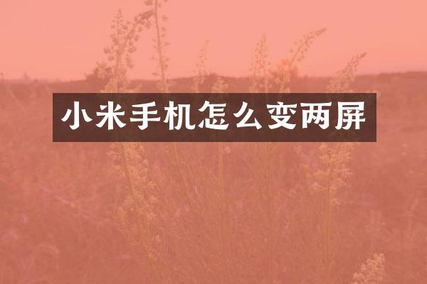 小米手机怎么变两屏