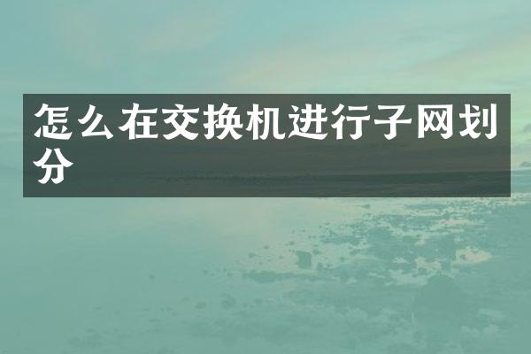 怎么在交换机进行子网划分