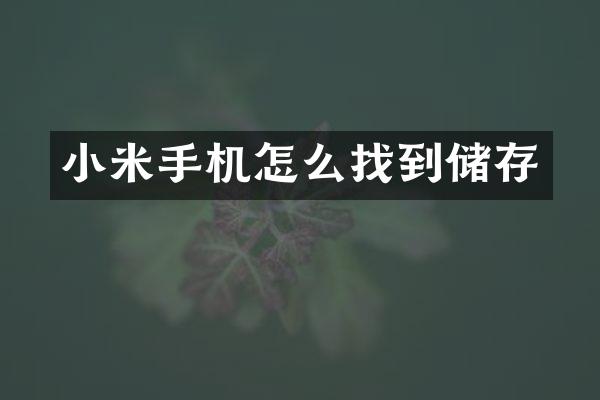小米手机怎么找到储存