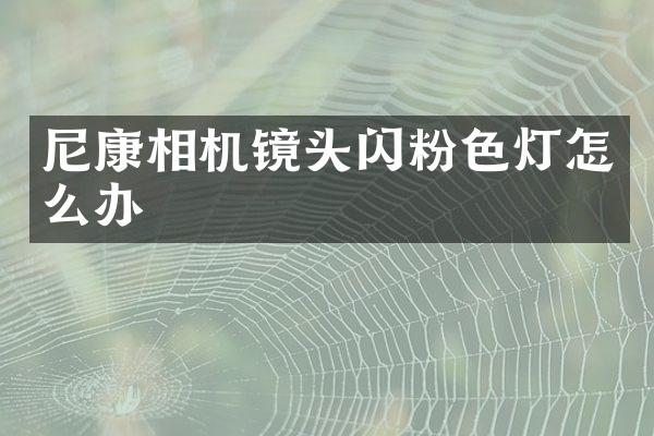 尼康相机镜头闪粉色灯怎么办
