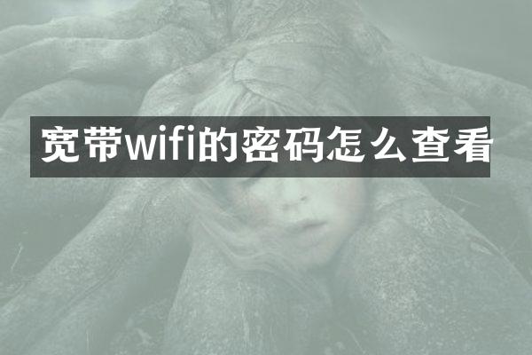 宽带wifi的密码怎么查看