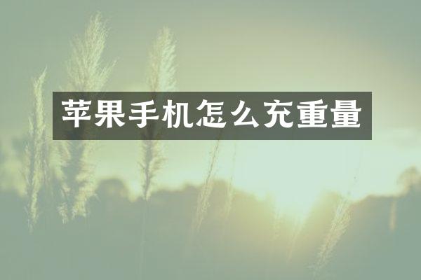 苹果手机怎么充重量
