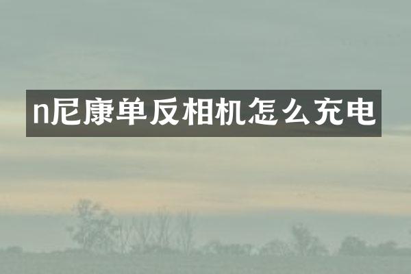n尼康单反相机怎么充电