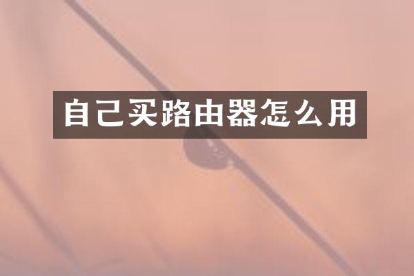 自己买路由器怎么用