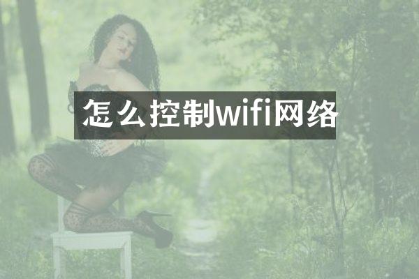 怎么控制wifi网络