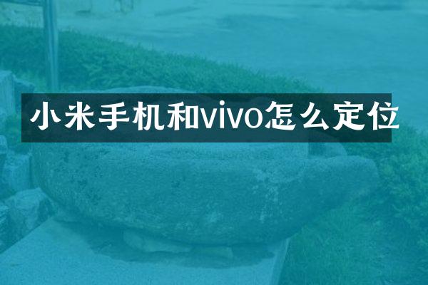 小米手机和vivo怎么定位