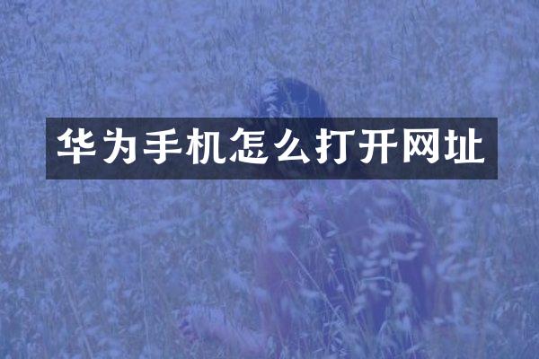 华为手机怎么打开网址