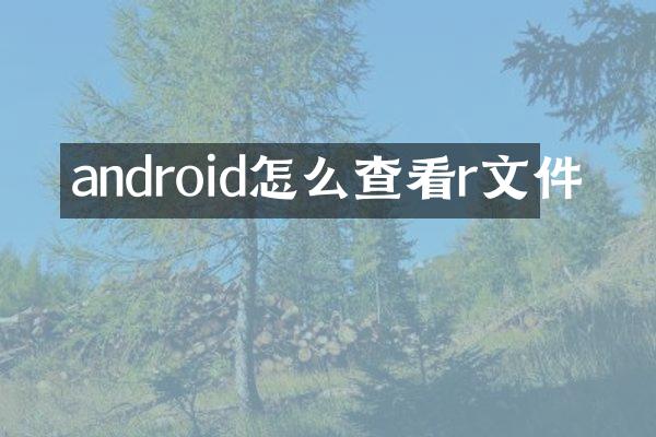 android怎么查看r文件