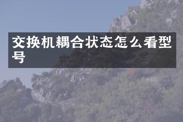 交换机耦合状态怎么看型号