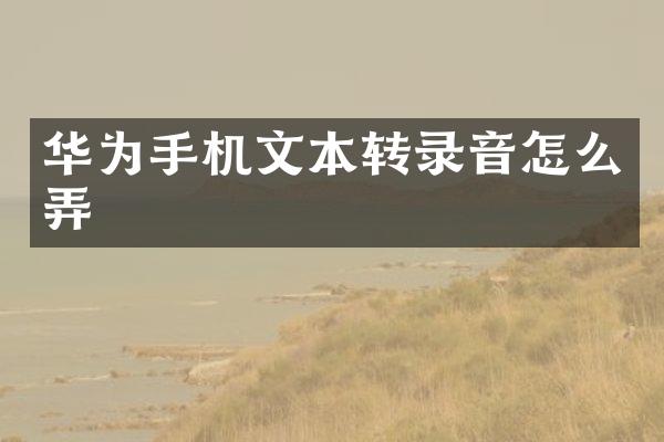华为手机文本转录音怎么弄