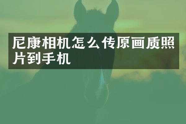 尼康相机怎么传原画质照片到手机