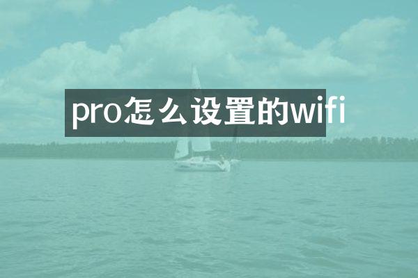 pro怎么设置的wifi