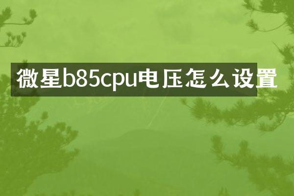 微星b85cpu电压怎么设置