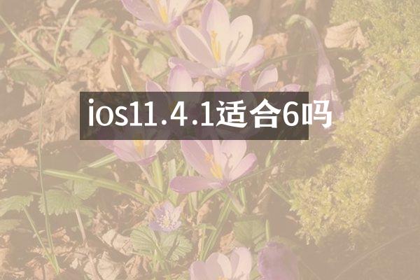 ios11.4.1适合6吗