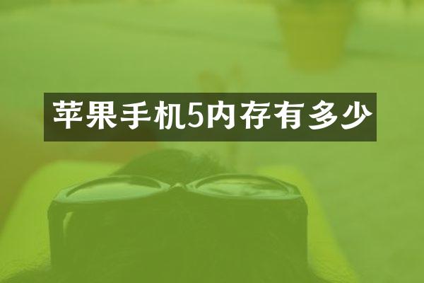 苹果手机5内存有多少