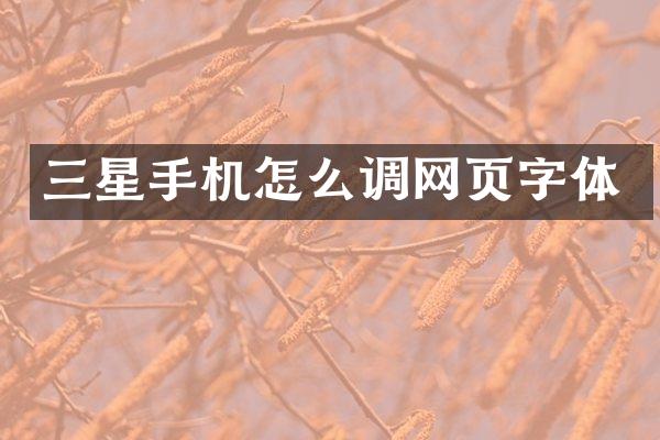 三星手机怎么调网页字体