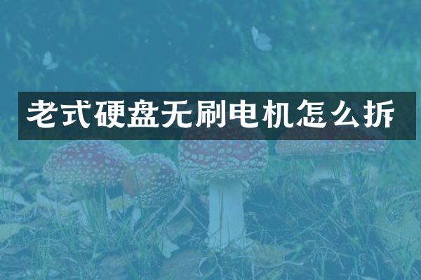 老式硬盘无刷电机怎么拆