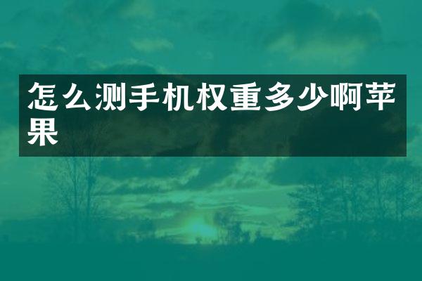 怎么测手机权重多少啊苹果