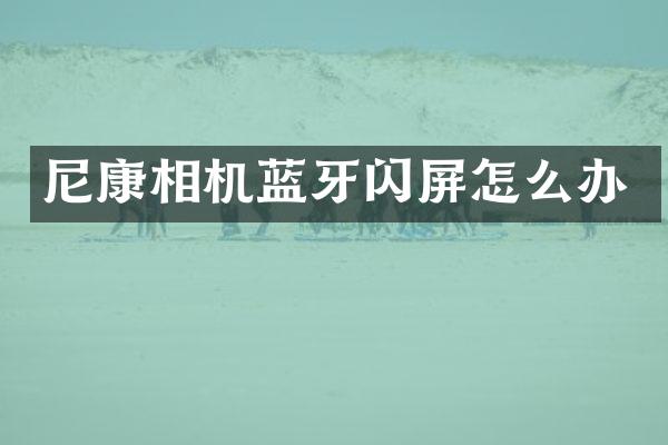 尼康相机蓝牙闪屏怎么办