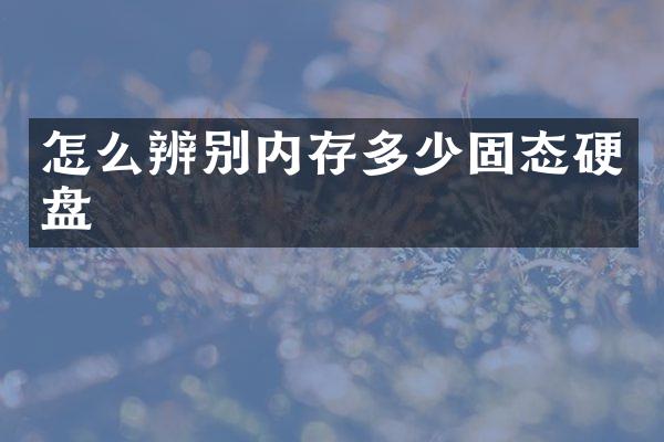 怎么辨别内存多少固态硬盘