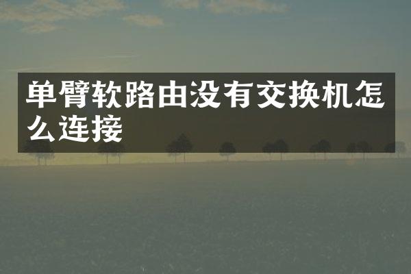 单臂软路由没有交换机怎么连接