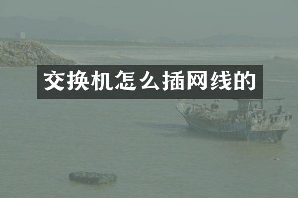 交换机怎么插网线的