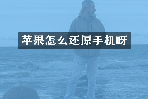 苹果怎么还原手机呀