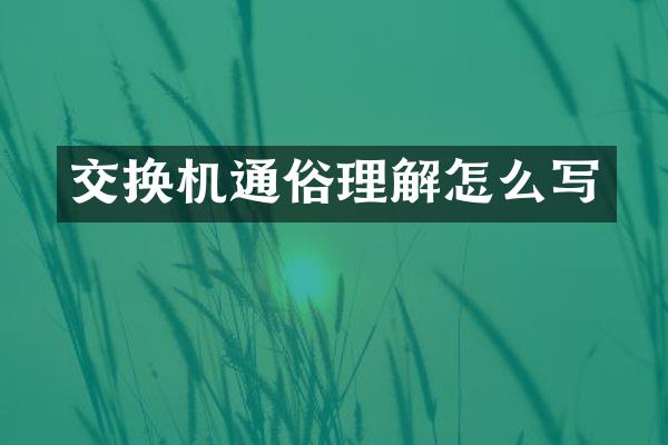 交换机通俗理解怎么写