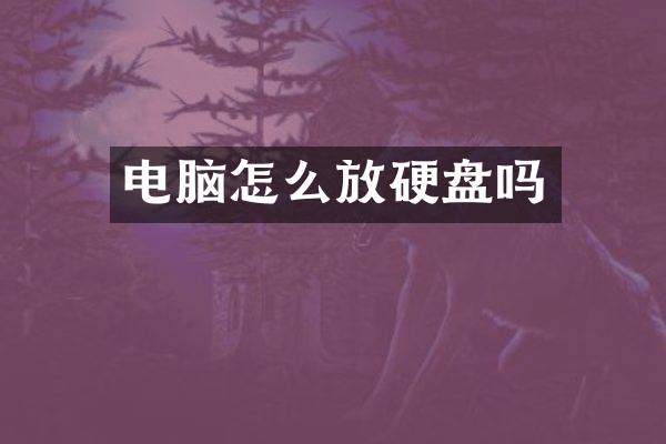 电脑怎么放硬盘吗