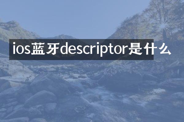 ios蓝牙descriptor是什么
