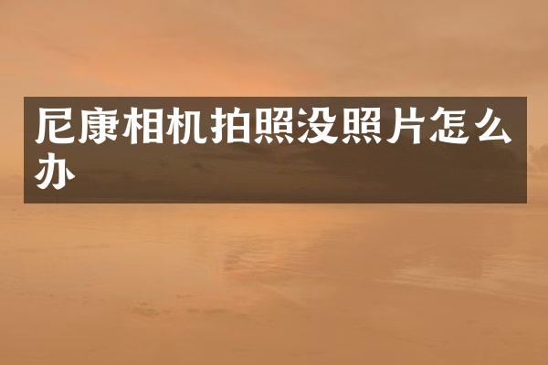 尼康相机拍照没照片怎么办