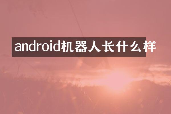 android机器人长什么样