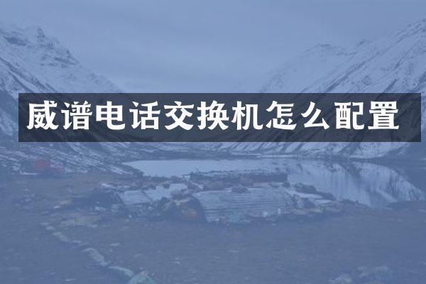 威谱电话交换机怎么配置