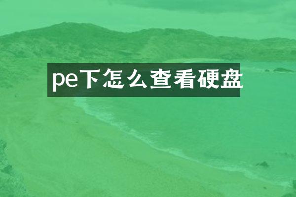 pe下怎么查看硬盘