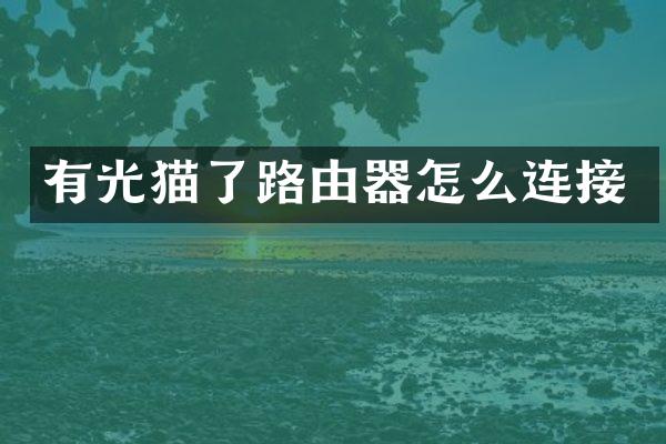 有光猫了路由器怎么连接