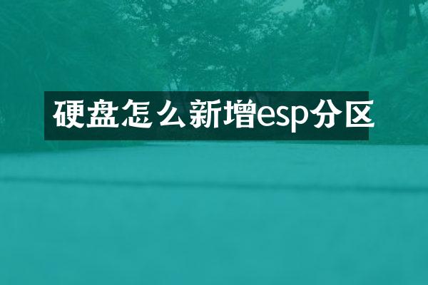 硬盘怎么新增esp分区
