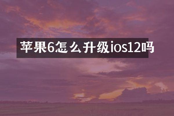 苹果6怎么升级ios12吗