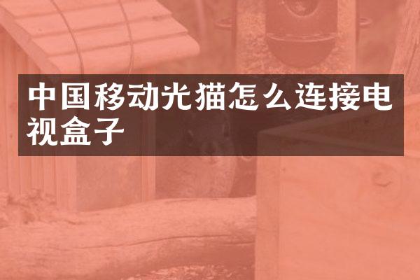 中国移动光猫怎么连接电视盒子